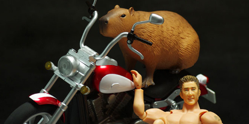 アメリカンバイク＆カピバラ レビュー