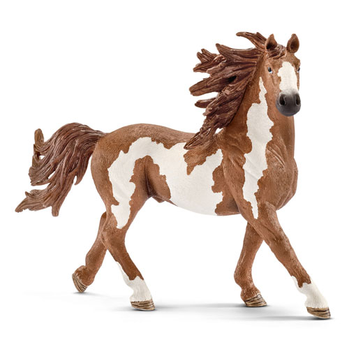 13794 schleich ピント馬（オス）｜動物・恐竜フィギュアのZOOO!
