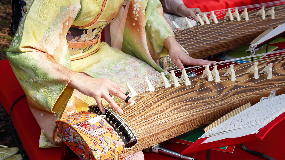 和楽器/民族楽器 津軽三味線 ヤマノミュージックサロン銀座 コース詳細