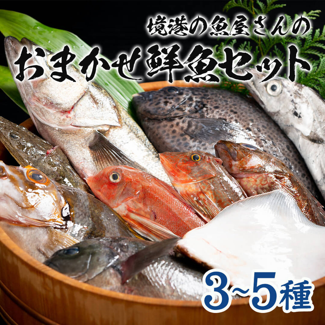 境港の魚屋さんのおまかせ鮮魚セット(3～5種) 下処理済み – さんチョク