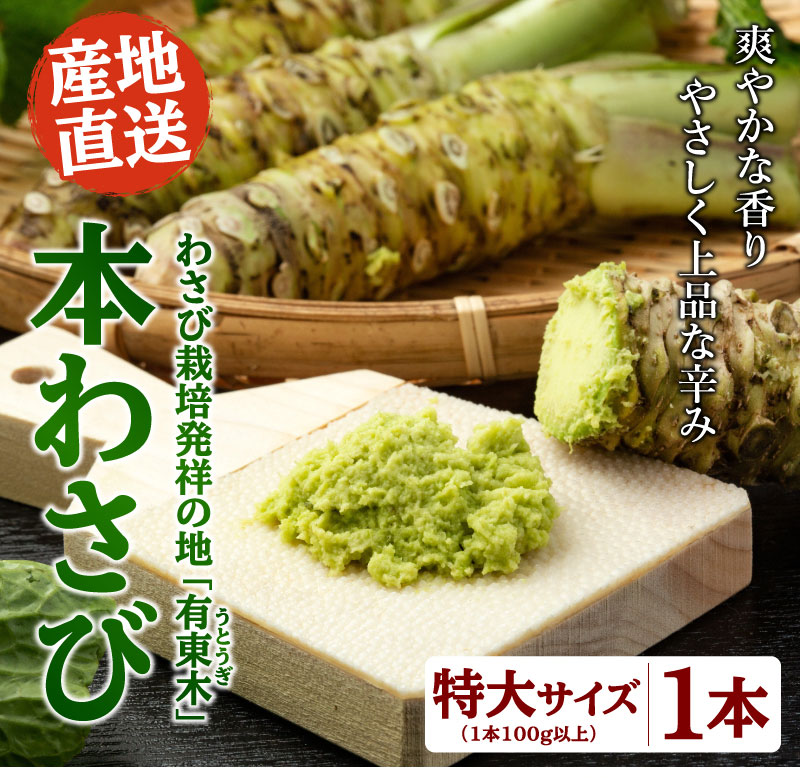 本わさび（特大サイズ／1本100g以上） 1本 | 大五グルメセレクション