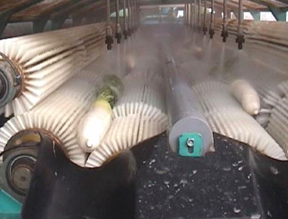 野菜洗浄機 – 三州フォーク公式サイト「農業」「食」「運ぶ」を結ぶ