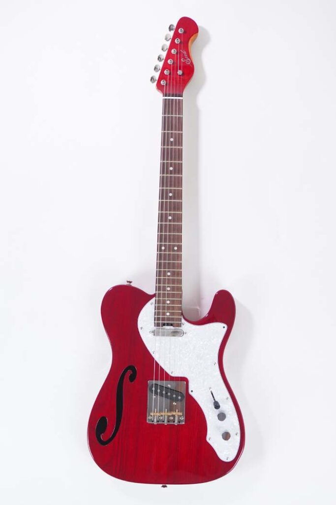 telecaster thinline テレキャスター ムツムロアキラカラー ハンブレッ