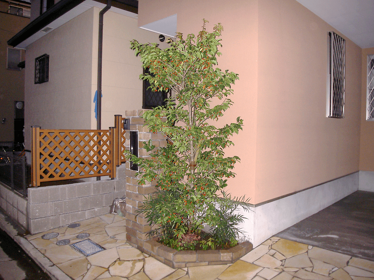 B様邸 ソヨゴの剪定