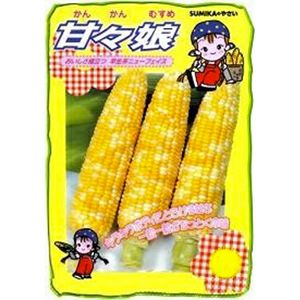 トウモロコシ 種 【 甘々娘 】 2000粒 ( トウモロコシの種 ) | 菜園