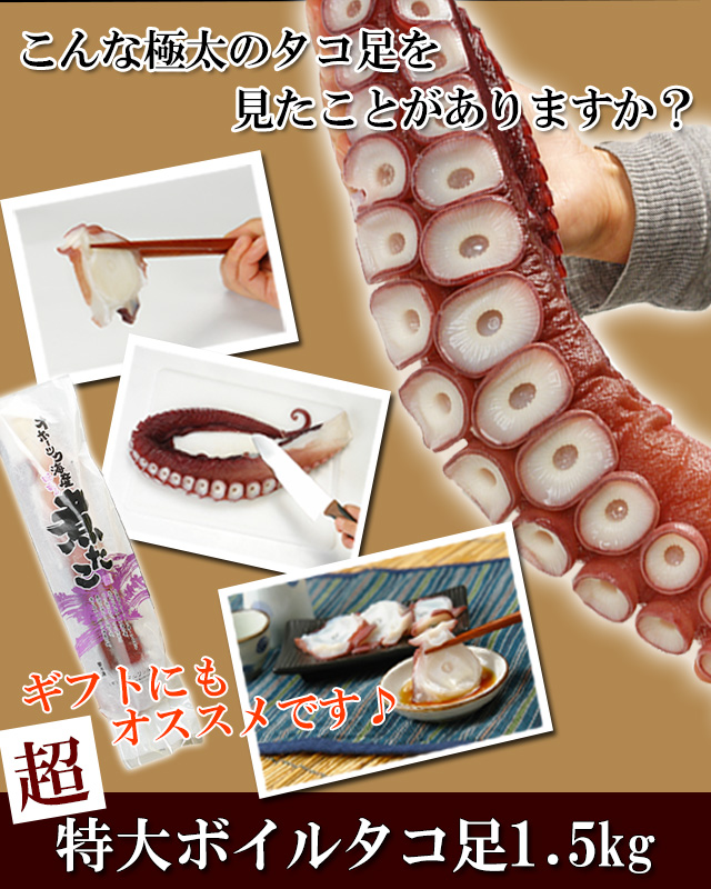 超特大ボイルタコ足1.5kg前後＜ボイル冷凍＞の通販｜最北の海鮮市場