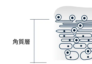 取扱製品一覧 – SAINT CLAIR