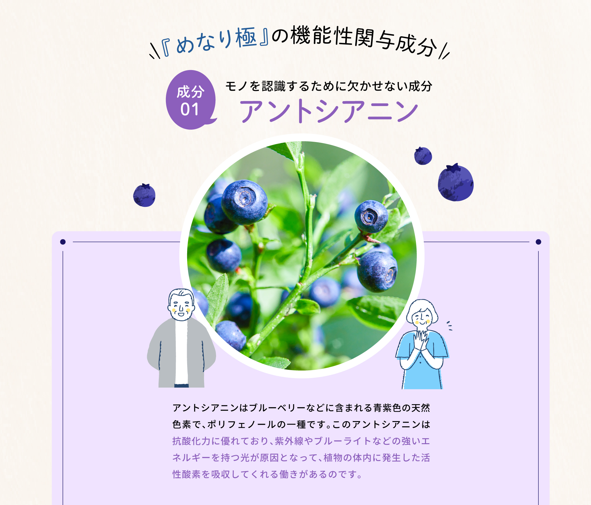 公式【めなり極】目の疲労感とぼやけ・かすみをWで改善する機能性表示