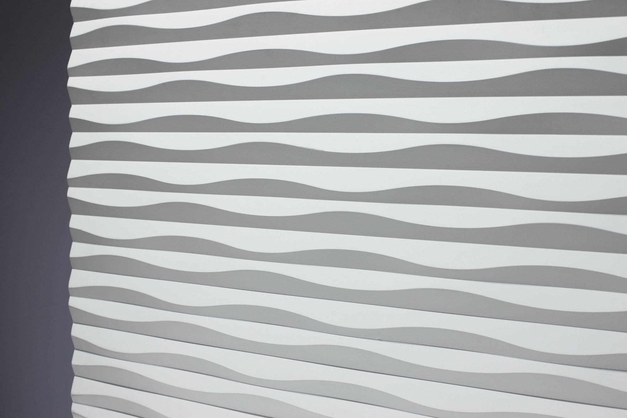 風のドルフィン04｜サカイリブ