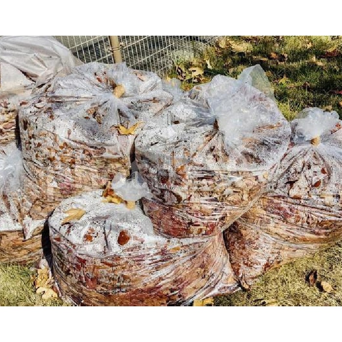 落ち葉が腐葉土に｜種（タネ）,球根,苗,資材,ガーデニンググッズの通販