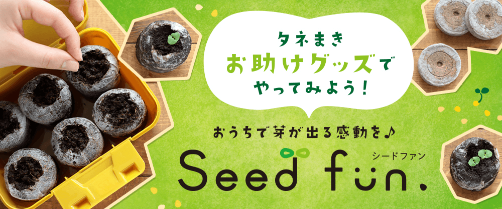 ジフィーセブン42mm＋ジフィーハーフトレー（マットなし）セット｜種