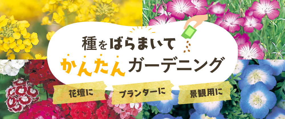 花絵の具(R） ミックスフラワーガーデン｜種（タネ）,球根,苗,資材