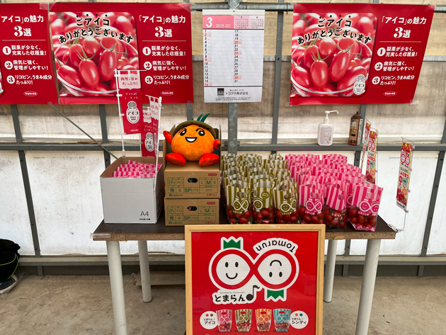 アイコ収穫体験ツアー」にご参加いただきました！｜社員ブログ