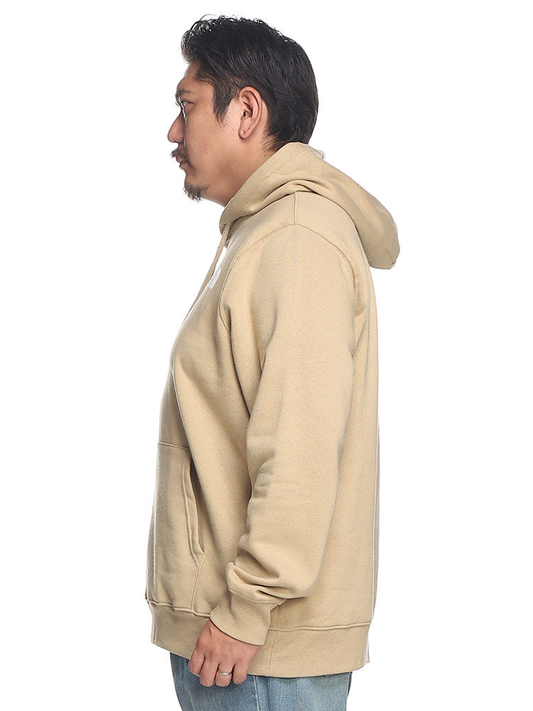 THE NORTH FACE ザ ノースフェイス パーカー バックプリント プル