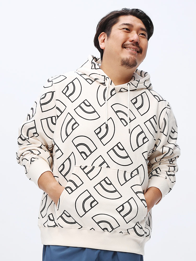 THE NORTH FACE ( ザ ノースフェイス) ドーム総柄 ポケット付き プル