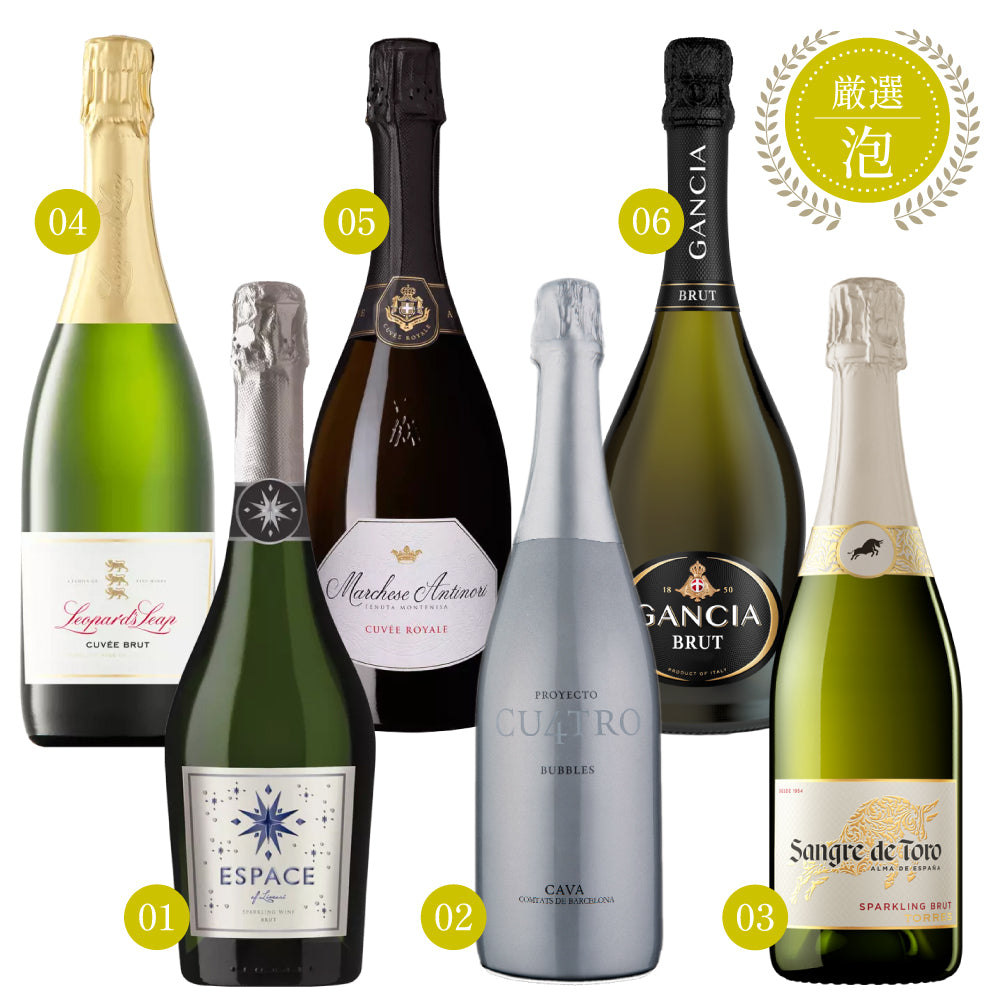 エノテカ 厳選 スパークリング ワイン 白 750ml × 6本 セット チリ