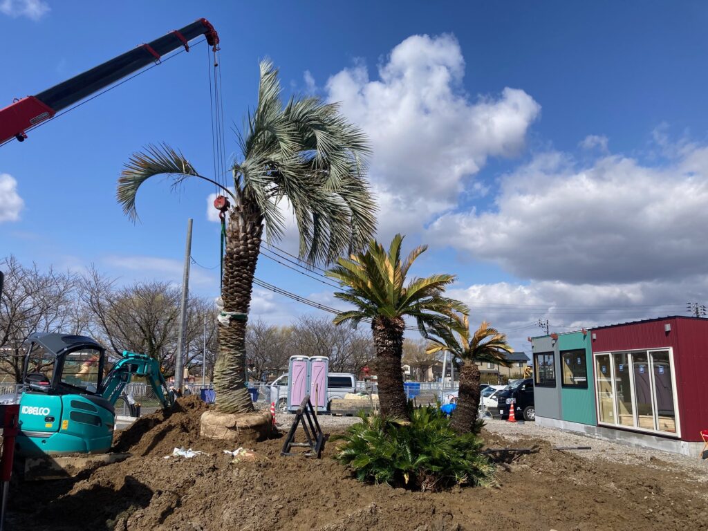 ドライガーデンのご提案 | S&A PLANTS GARDEN