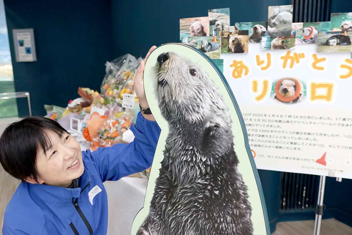 リロ、ありがとう マリンワールド海の中道でラッコ追悼企画 | ニュース