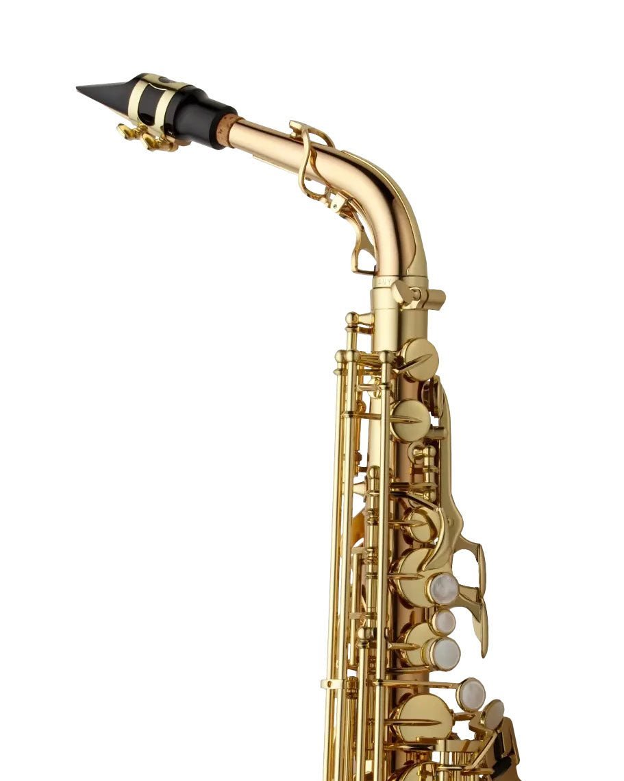 Yanagisawa AWO20 Bronze Alto Saxophone – SAX