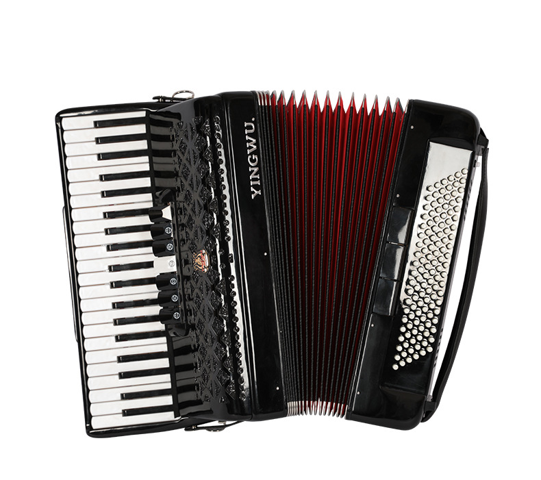 Piano Accordion - A True Parrot 41 Keys, 120 Bass Instrument