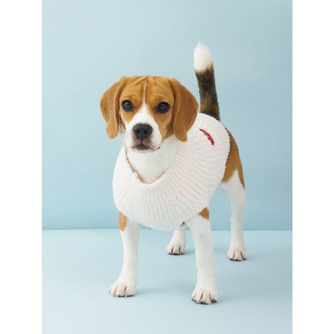 ジェラートピケ gelato pique 【CAT&DOG】ベビモコベアサガラ刺繍プル