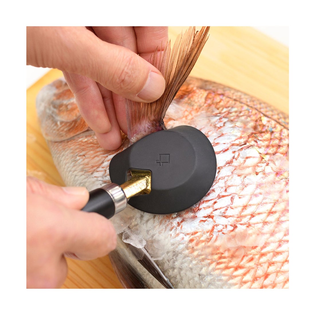 大人の焼魚 鱗とり うろこ取り ウロコ 日本製 ブラック 黒 OTS8013