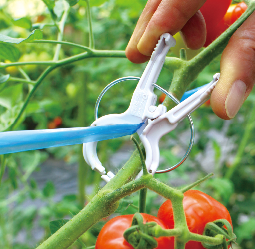 商品紹介】くきたっちアルファ｜有限会社シーム