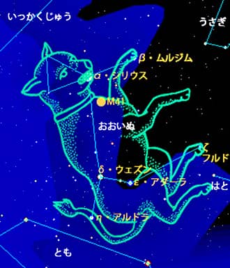 星座図鑑・おおいぬ座