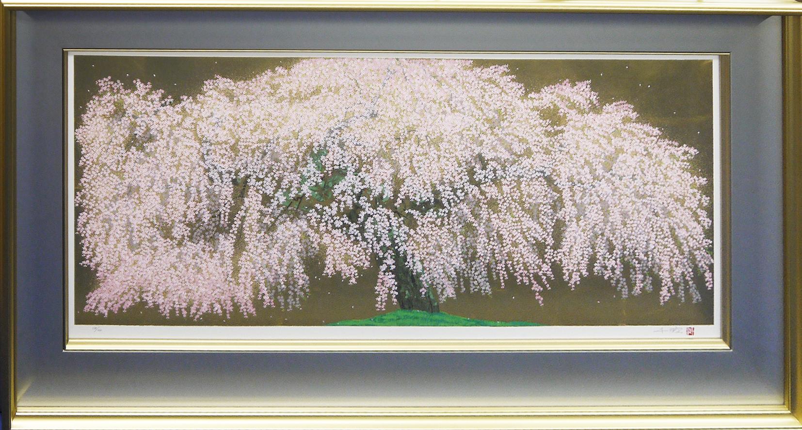 光善寺の枝垂櫻 | ｜正光画廊