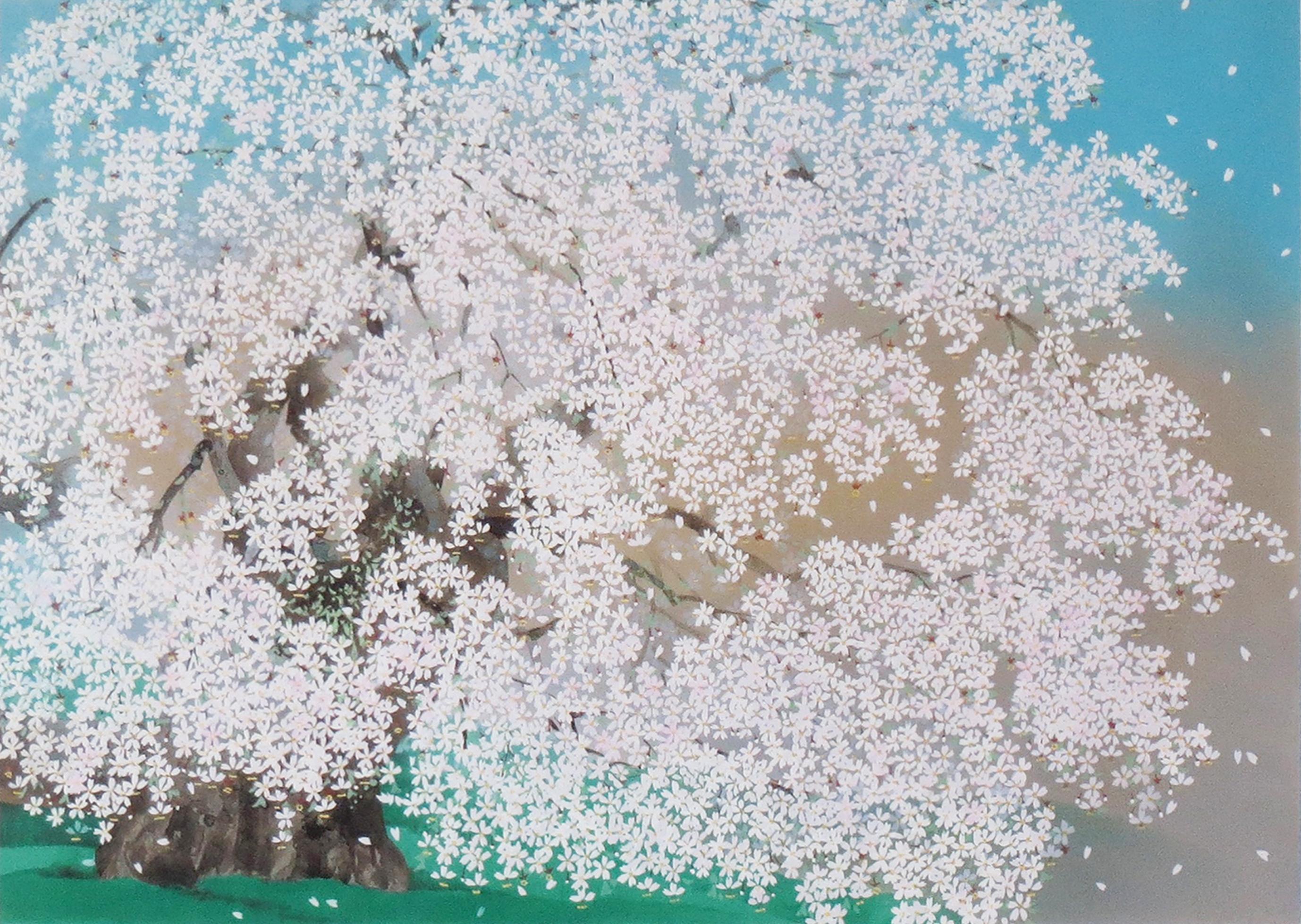 常照皇寺の九重桜 | ｜正光画廊