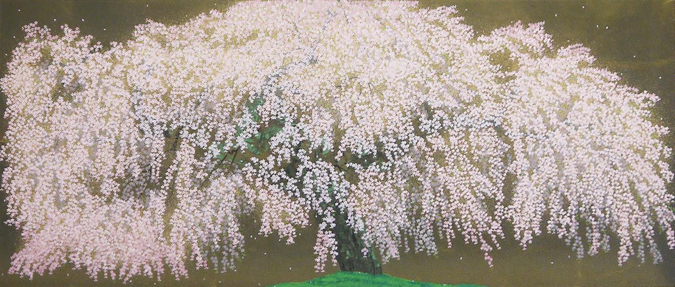 光善寺の枝垂櫻 | ｜正光画廊