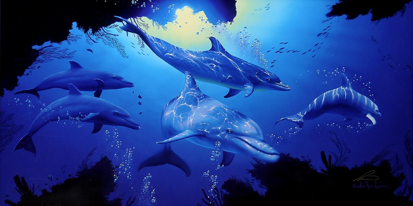 インペリアルグロウ（L) | ｜正光画廊