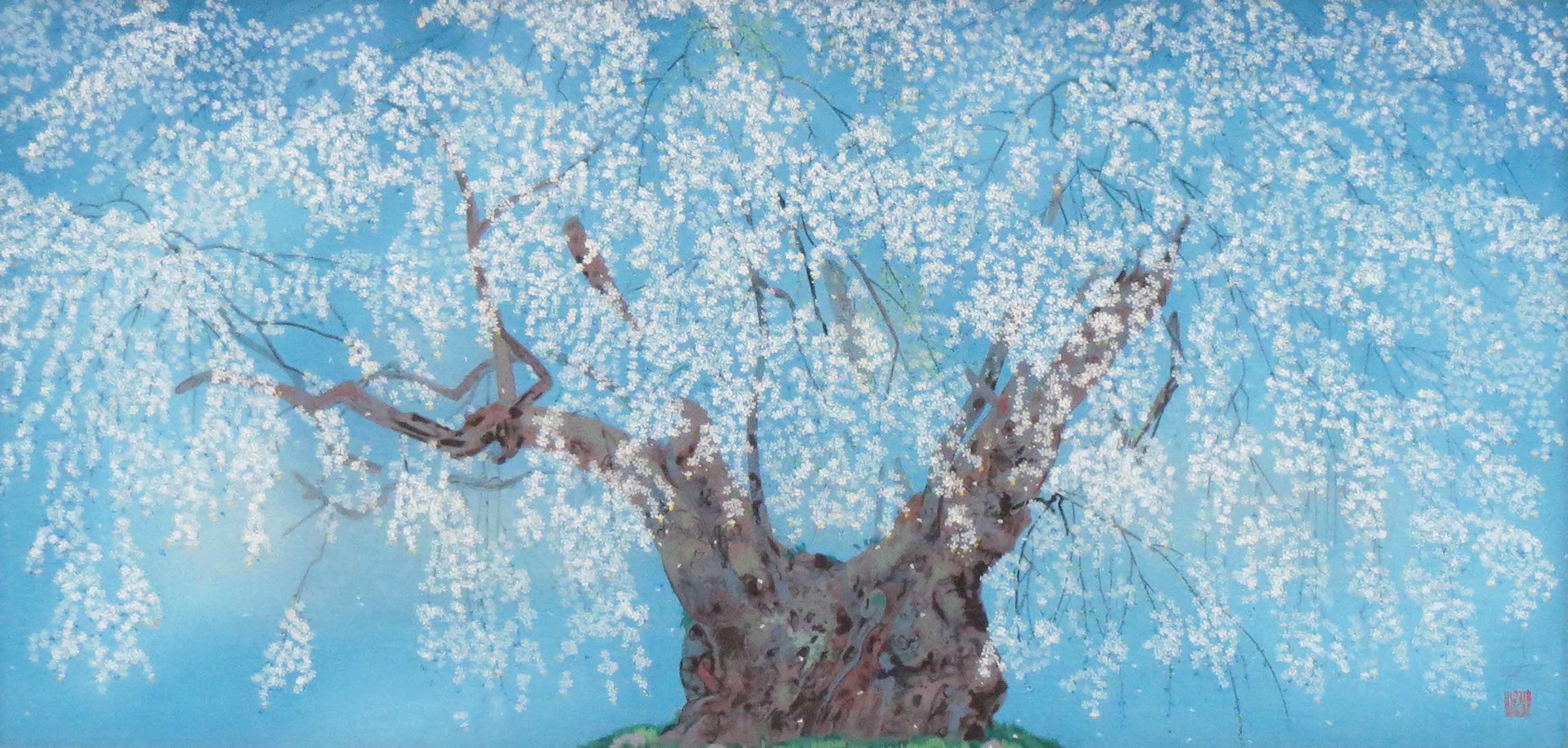 坪井の枝垂桜 | ｜正光画廊