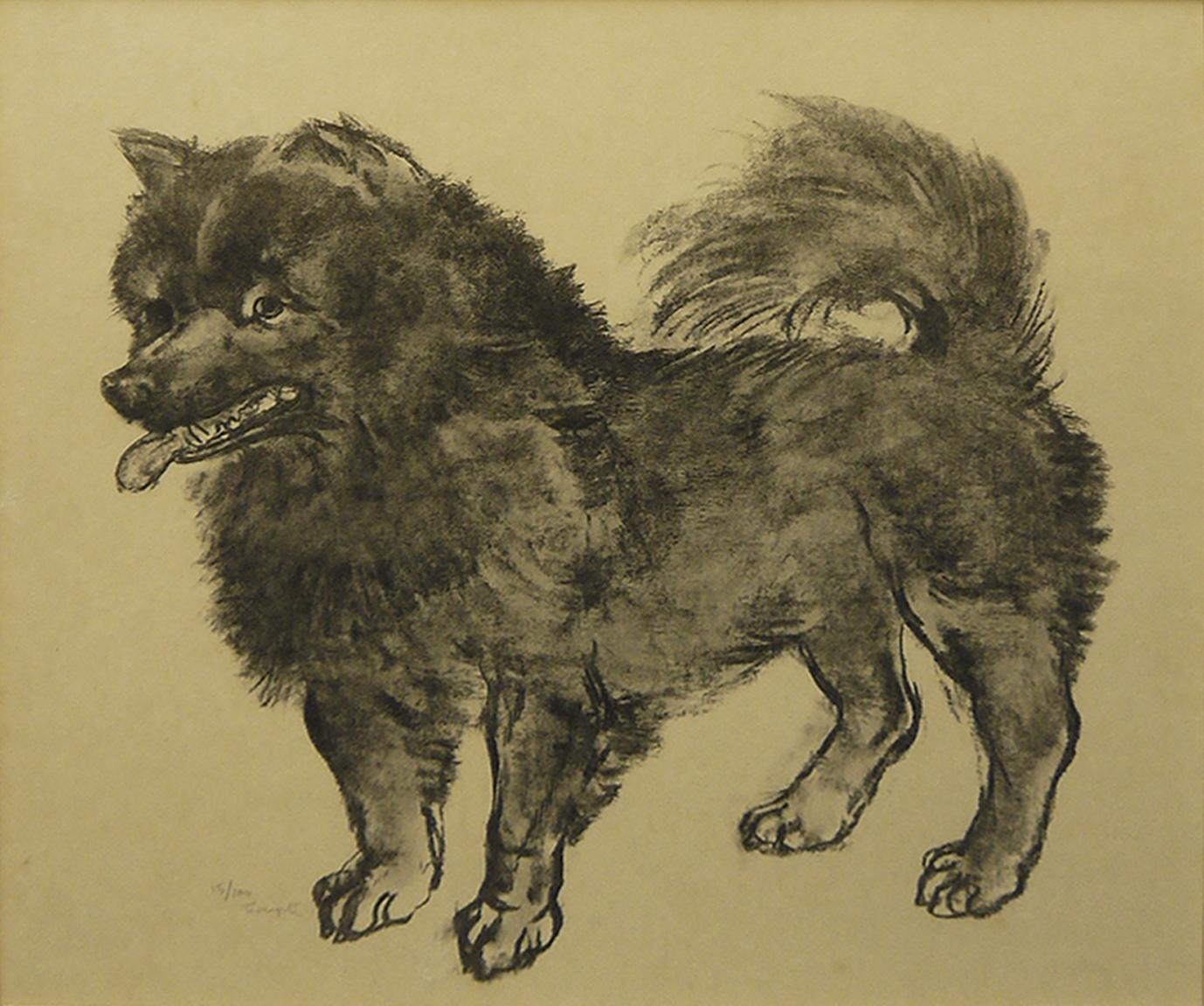 犬 | ｜正光画廊