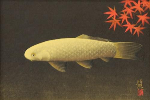 日本画6号 「鯉」 | ｜正光画廊