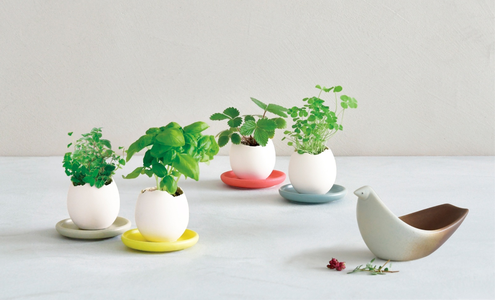 栽培キット専門店｜盆栽・苔・ハーブ・野菜の育てるギフト｜SEISHIN