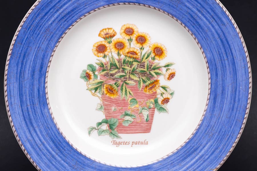 ウェッジウッド サラズガーデン（ラベンダーブルー） 21cmプレートを