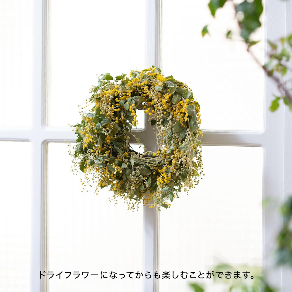 2/27～3/2届け限定】ミモザフレッシュリース | 花・花束を贈るフラワー
