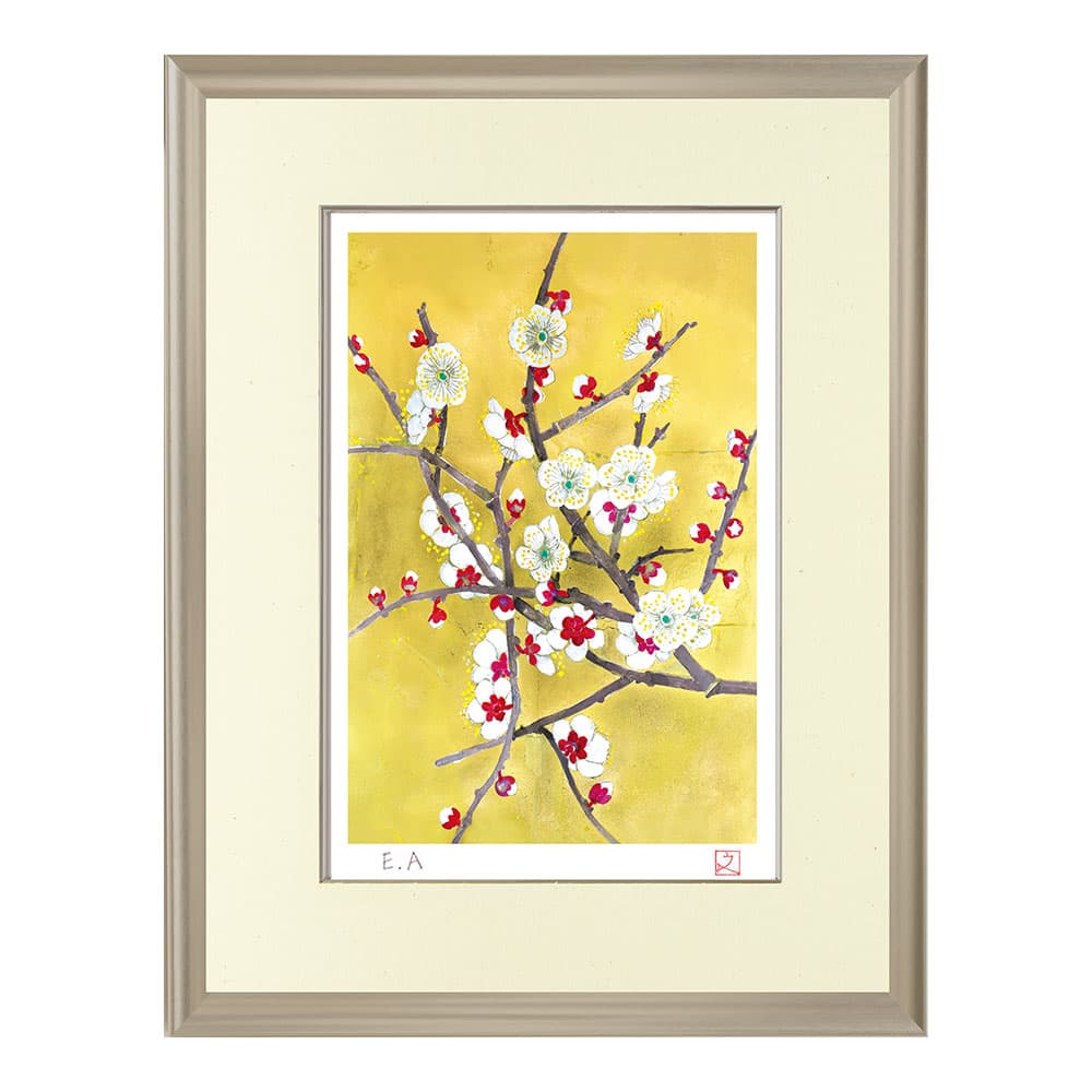 堀文子の珠玉作品を版画としてお手元に｜『白梅』額装 | サライ.jp