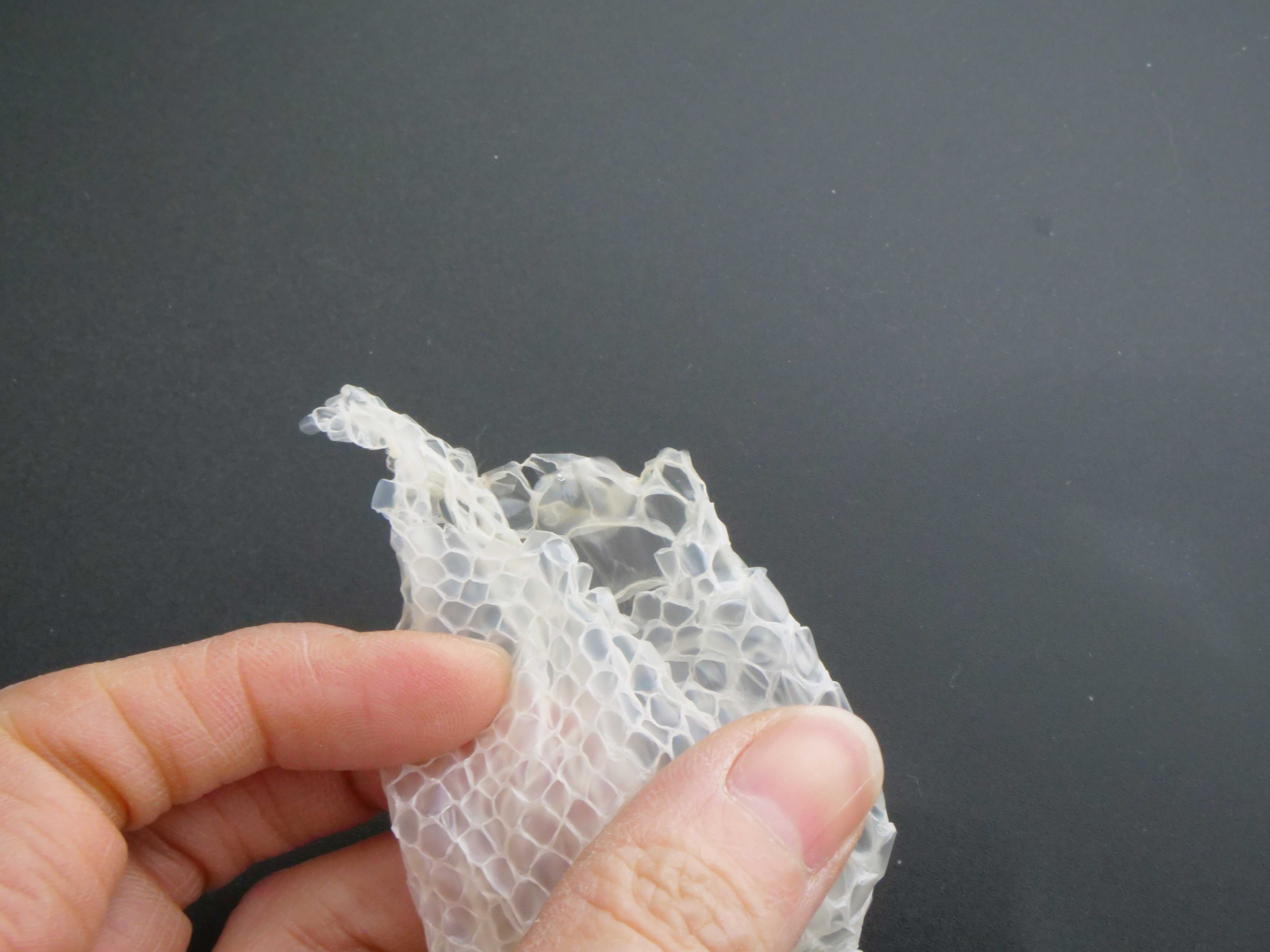 赤目・白蛇の抜け殻 130cm 縁起物 金運 S17