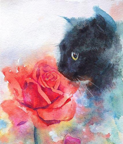 講師作品「バラより猫」をご紹介します！ | 京都 二条城前 水彩画教室