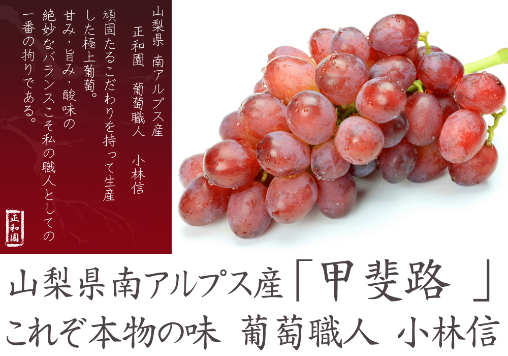 甲斐路 (ぶどう) 販売 山梨県産地直送通販 | 葡萄職人 正和園
