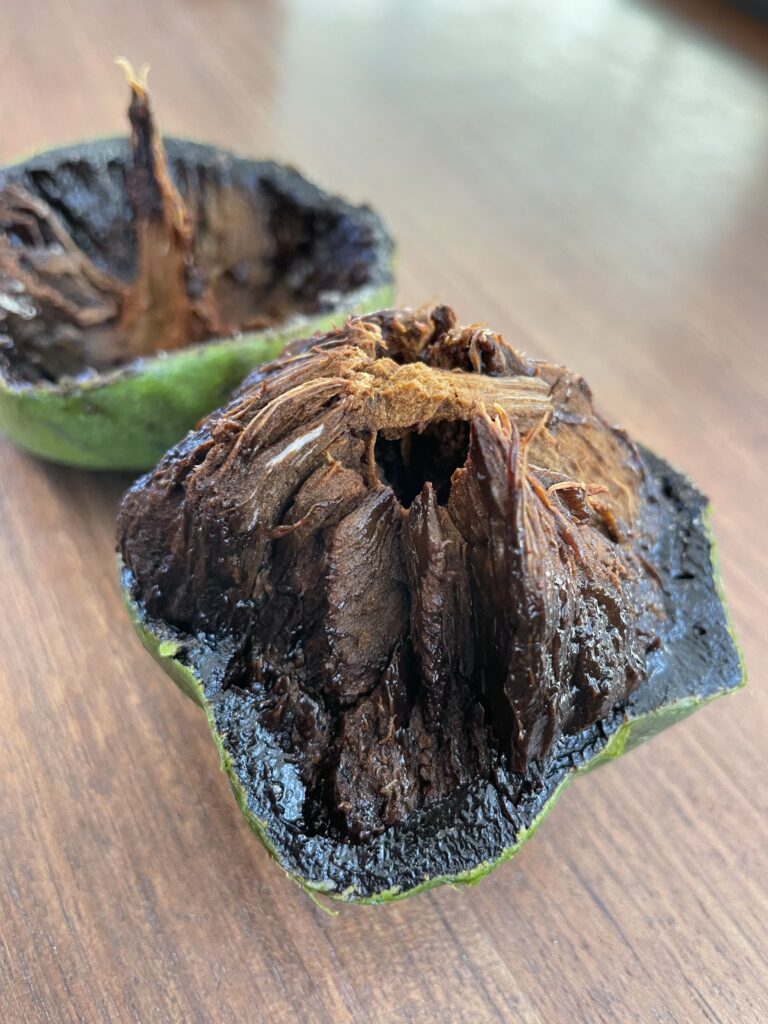 ブラックサポテはフルーツの常識を覆す！実際に種から育てた栽培記録