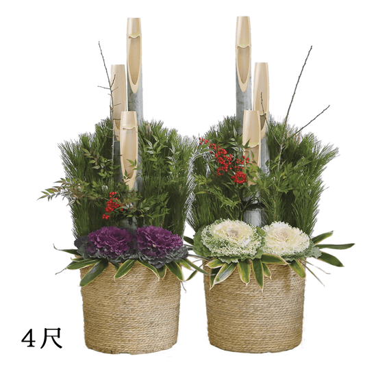 Kadomatsu] Kansai style | 7 shaku (approx. 210cm tall) [Available