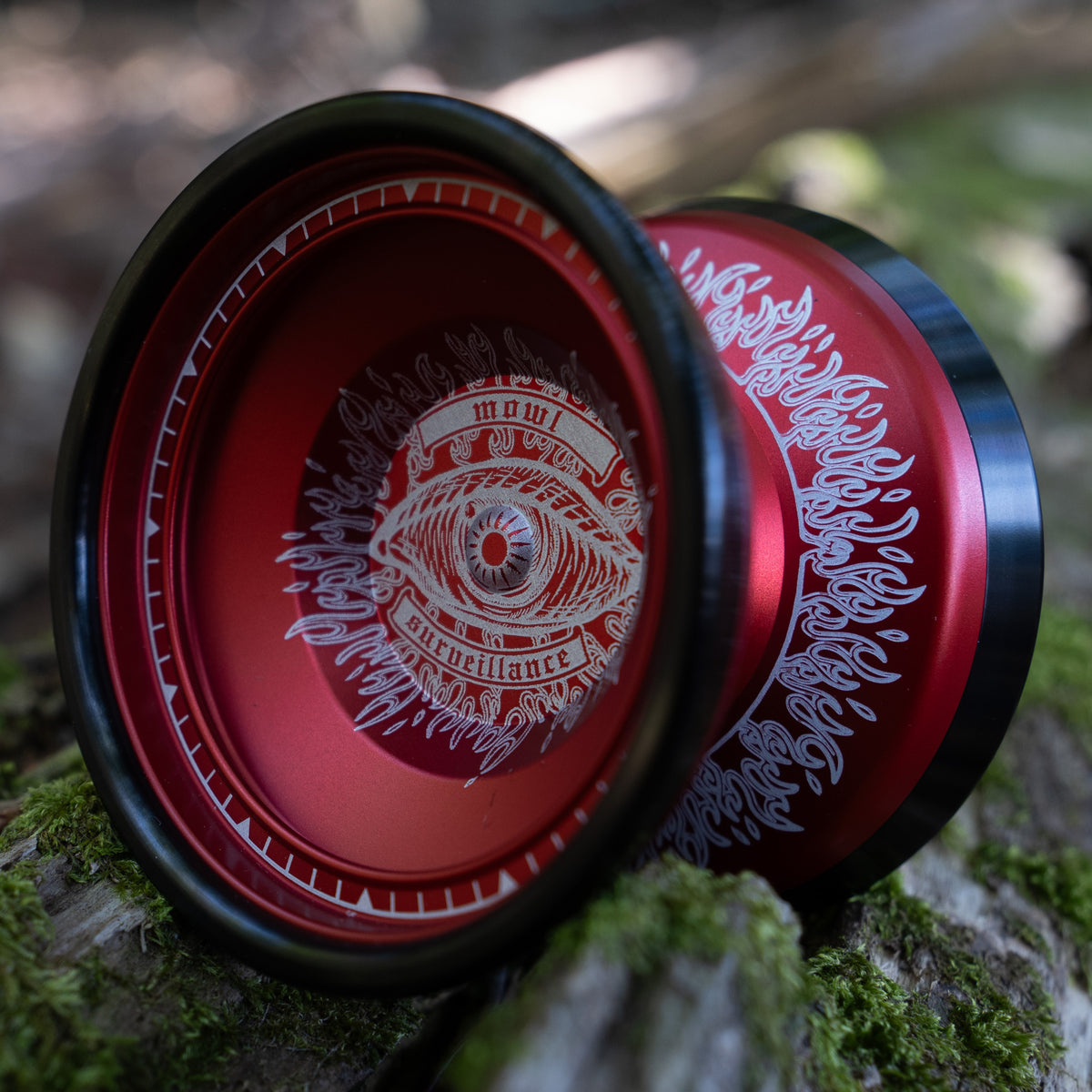 Surveillance – mowl