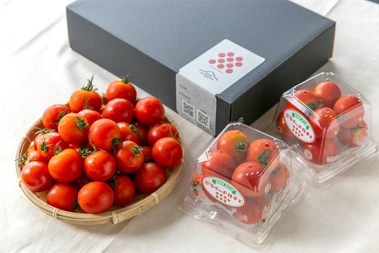新潟直送計画】新潟県産ミニトマト「ミライnoドルチェ」 – MIRAIこいわうち