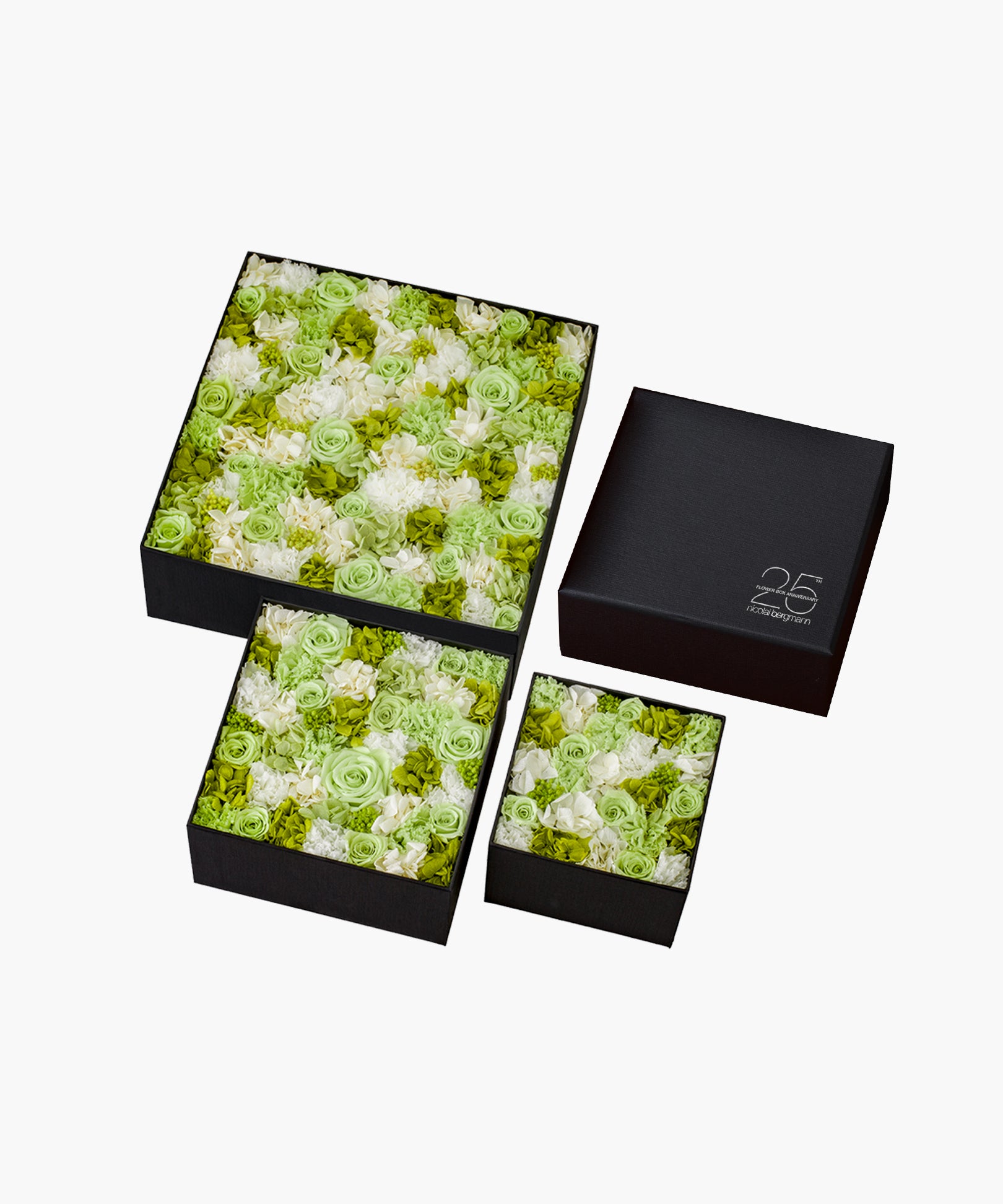 Vivid Love（ビビッド ラブ）