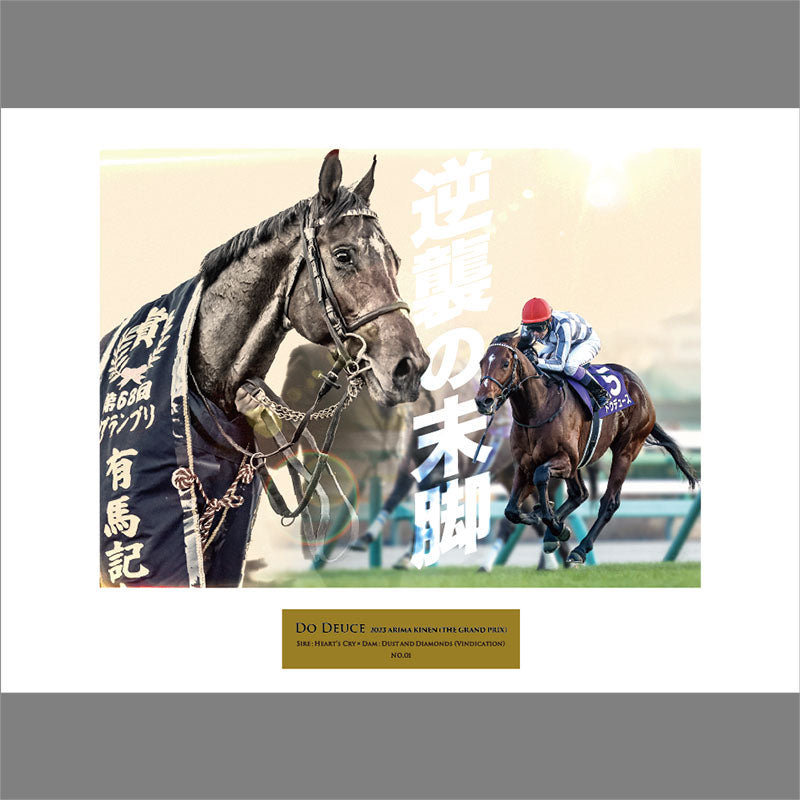 ドウデュース・オリジナル写真パネルC｜netkeiba