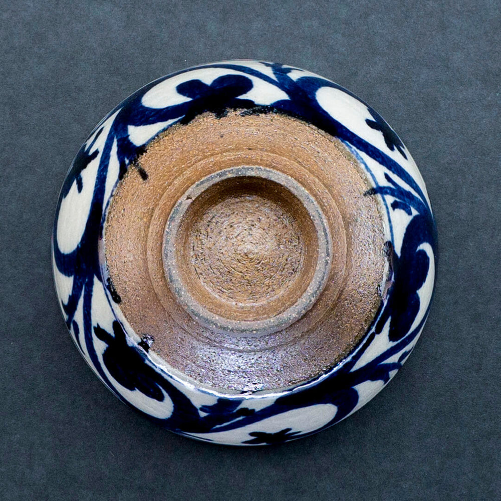 DSC00050_1000x.jpg?v=1751940871