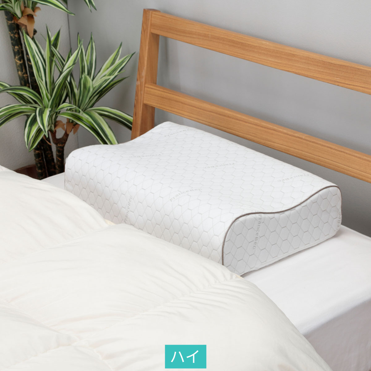 マカロンピローDX 単品 | ABCミッケ｜【公式】ABC通販サイト